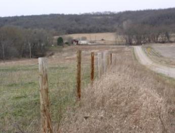 looking north towards the jog in the road and the Hammond Bridge. The tree line on the left marks the approximate location of the old road