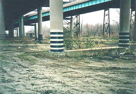 Image shows the bottom of pier columns that have four or five bands equally spaced in the plastic hinge region. The bands function similarly to the hoops and wraps.