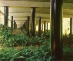 Photo of Reedy Creek Bridge