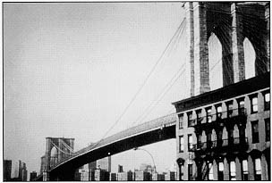 Photo: The Brooklyn Bridge