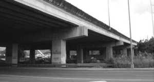 Cameo: Concrete overpass and its supporting structure as seen from the road below.