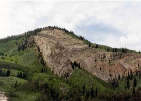 Photo: Folded coal and other sedimentary strata, Smokey River Coal Mine, Alberta (photo courtesy of Dave Young).