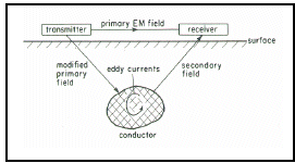 Schematic of EM