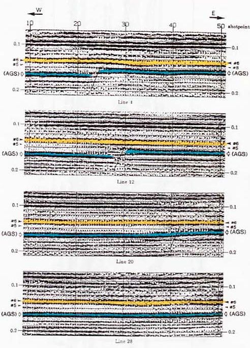 Seismic section of lines 4, 12, 20, and 28