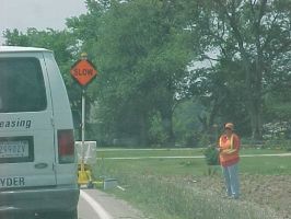 remote flagger device