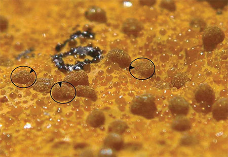 Elements feature yellow microcrystalline beads.