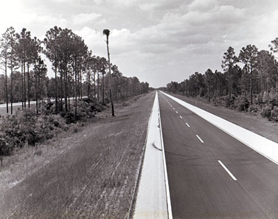 I-95 in Brevard County shows the wooded median and roadside areas preserved by the Florida Department of Transportation. The tall cypress tree in the median area is the nesting site for a family of ospreys. (photo taken by FLDOT