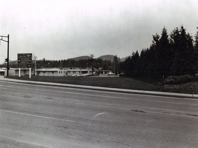 Oregon- Screen planting of Incense Cedar on fill on Interstate 5 in Roseburg.  Object - to reduce noise to hospital, left center of photograph.  Planted in 1955.  These trees are 15-18 feet high.