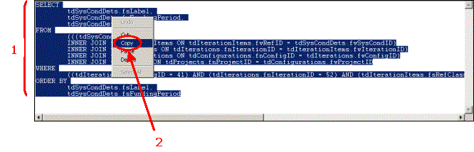 HERS-ST Screen Shot: Table SQL view - showing how to select and copy the SQL text.