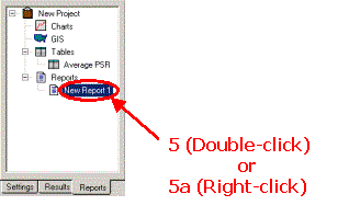 HERS-ST Screen Shot: Reports tree view - showing how to display a report. Step 5 double click on New Report 1 or right click (5a) 