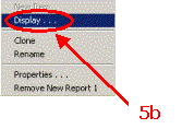 HERS-ST Screen Shot: Report pop-up menu. Step 5b select display