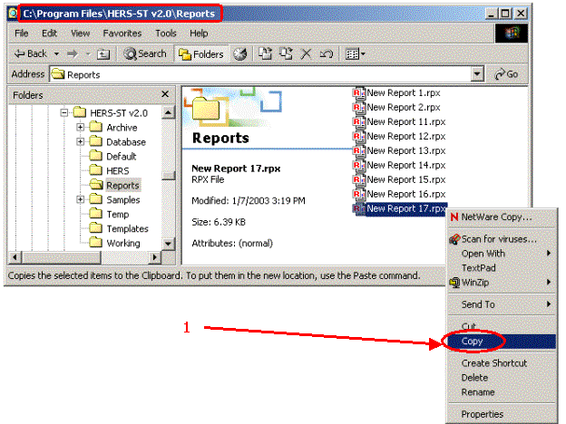 Windows Explorer Screen Shot: File pop-up menu - showing how to copy a file.