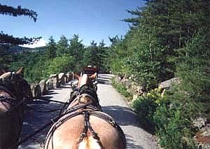 Photo from a carriage on the carriage road. Overlooks two horses