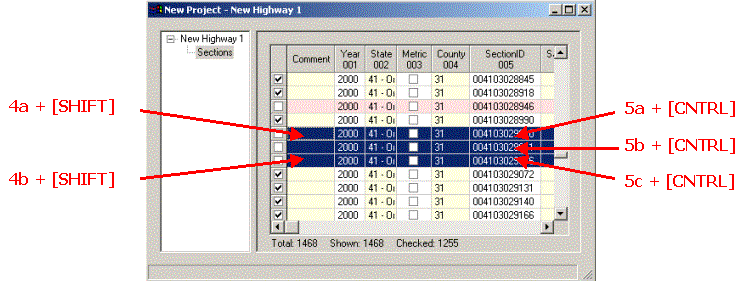 HERS-ST Screen Shot: Highway Data Window - showing how to highlight sections using shift and control keys.