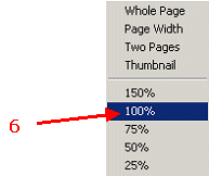 HERS-ST Screen Shot: view pop-up menu. Step 6 select 100%
