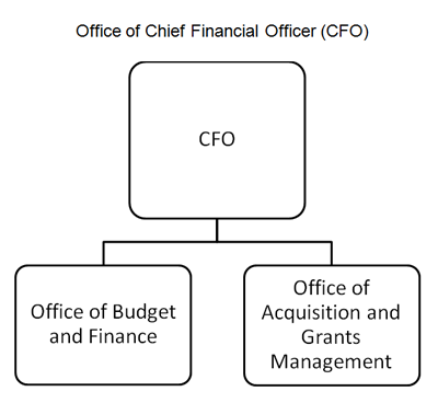 Office of Chief financial officer (chart)
