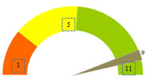 Access Justification Reports Chart