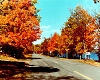 Autumn Highway