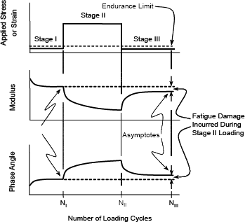 Figure 6. Schematic of loading in Stages I, II, and III.