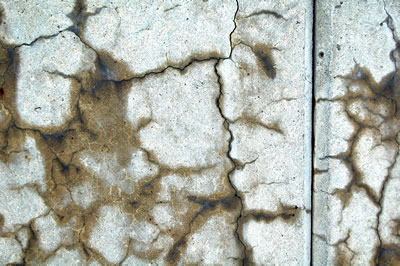 Figure 1. Photo. Typical map cracking. This photo shows a close-up view of an ASR affected structure. Cracking is apparent in the entire photo, with some exudation in cracks, as wel as moisture stemming from the center of the cracks.