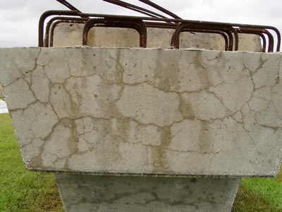 Figure 4. Photo. A concrete girder treated for ASR in Corpus Christi, Texas. This photo shows several horizontal cracks along the face of a concrete girder, and the cracks are connected by several vertical cracks.