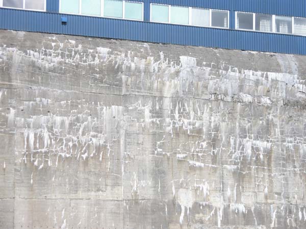 This image shows a large concrete wall with extensive horizontal cracks and sigificant white staining excreting from the cracks.