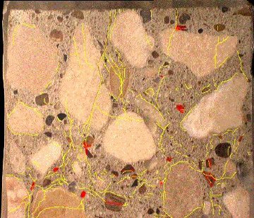 Figure 2. Polished slab of concrete showing cracks through aggregate particles and paste (stained yellow) and alkali-silica reaction gel (stained red). This picture shows a moist concrete core, between 18 and 19 centimeters in length with a visible vertical crack from the top of the core and several horizontal cracks through the coarse aggregates.