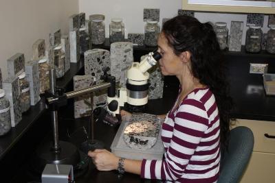 This figure shows a woman sitting down in front of a polished core section and is analyzing the sample under a microscope.