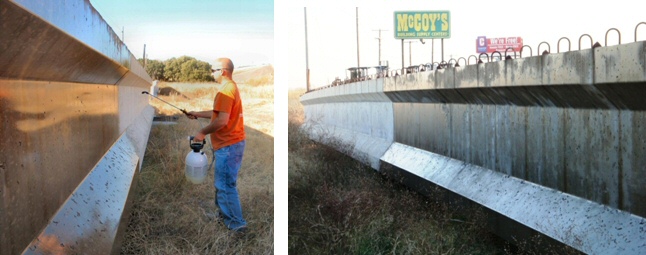 This figure contains two photographs. The photo on the left shows a man applying a topical solution to a precast concrete girder with a handheld garden sprayer. The right shows the precast concrete girder after the application.