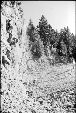 Photo of a 24-m (80-ft) high slope used as a test site