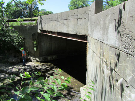 A bridge inspector is standing at the foot of a concrete bridge looking up at the structure.