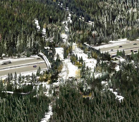 Figure 3. Photo. The winning design for the first ARC International Wildlife Crossing Infrastructure Design Competition. The design shows an aerial view of a 100-m (328-ft) concrete span, which is planted with trees and a variety of other vegetation types to attract different species to cross. Cars are seen traveling under the wildlife crossing.