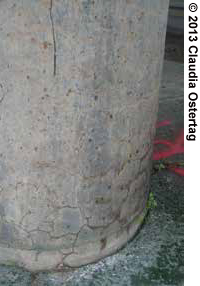 Base of a concrete column, showing damage from alkali-silica reaction.