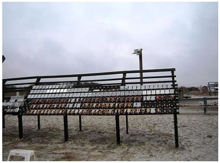 Figure 6. Photo. ME exposure rack in Sea Isle City, NJ. This photo shows a marine environment (ME) exposure rack in Sea Isle City, NJ. The test panels are on wooden racks inclined at 45 degrees facing south. These racks consist of horizontal wooden runners spaced apart to accommodate the length of the test panels and supported on slanted vertical wooden runners. The horizontal runners have nonmetallic hinges to support the test panels as they are being deployed. 