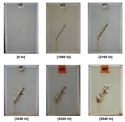 Figure 40. Photo. Progressive changes of panel 167 (HBAC: ALT). This figure shows a series of photos of scribed high-build waterborne acrylic (HBAC) panel 4 at time periods of 0, 1,080, 2,160, 3,240, 4,320, 5,400, 6,120, and 6,840 h of accelerated lab testing (ALT). The photos do not show any holidays or surface deterioration. Rust creepage growth appears at 3,240 h and grows significantly through the rest of the test period.