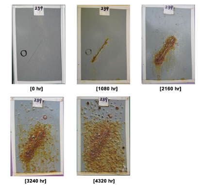 Figure 52. Photo. Progressive changes of panel 239 (UM: ALT).  This figure shows a series of photos of scribed urethane mastic (UM) panel 239 at time periods of 0, 1,080, 2,160, 3,240, and 4,320 h of accelerated lab testing (ALT). The test panel had about one defect before testing. Blistering of the test panel started at 2,160 h and progressively increased at the end of testing at 4320 h. Rust creepage growth started at 1,080 h and got significantly worse at the end of testing, with a large area around the scribe rusting. 