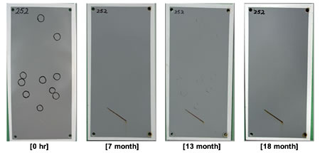 Figure 54. Photo. Progressive changes of panel 252 (UM: NW). This figure shows a series of photos of scribed urethane mastic (UM) panel 252 at time periods of 0, 7, 13, and 18 months of natural weathering (NW) exposure. The test panel initially had 10 defects and did not increase throughout the rest of the test period. Rust creepage growth appears to be minimal or zero for all time periods.