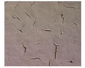Figure 60. Photo. Surface coating failure by cracking (two-coat system). This photo shows an optical microscopic image of the two-coat system in accelerated laboratory testing magnified 20 times. The surface shows micro-cracks that seem to originate from a central location for each set of cracks and propagate through the surface of the coating. 
