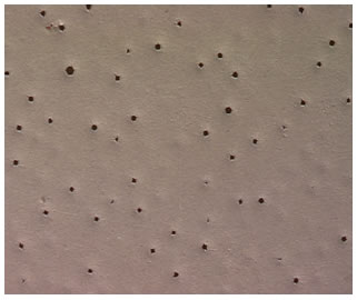 Figure 61. Photo. Surface condition of the three-coat system. This photo shows an optical microscopic image of the three-coat system magnified 20 times after 6,120 h in accelerated laboratory testing, which showed small holes on the panel surface. However, the micro-sized holes were not holidays and thus did not affect the coating performance during the test.