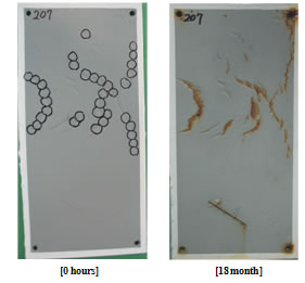 Figure 62. Photo. Large panels with defects from coating application deficiency in NWS. This figure shows two large panels of waterborne epoxy (WBEP) coating system. The panel on the left shows WBEP at 0 h with some initial film defects and small dent areas on the surface. The right panel shows the resultant surface after 18 months of exposure in natural weathering exposure with salt spray (NWS), where the small dents grew into rusted blisters, and all of the thin dry film thickness areas were rusted. Many defects were detected by a holiday detector on the test panel surfaces.