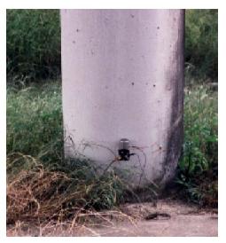 Vertical accelerometer at base of column of west pier, Woodville Road Bridge. This image shows a vertical seismic accelerometer installed at the base of a column of the west pier of the Woodville Road Bridge.