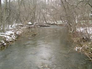 Figure 226. Big Beaver Creek, Piedmont-downstream from bridge. Photo. This is looking downstream from the bridge. Banks are covered with moderately dense trees. The channel is much narrower than upstream.