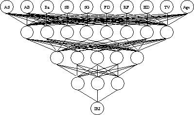 Diagram. Adopted neural network model. Diagram showing an upside down pyramid-like hierarchy for the respective neuron networks labeled at the highest level, and the I R I neuron labeled as the last neuron on the network.