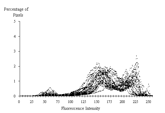  Figure 3-26:  Graph. Histogram of 30 fluorescence measurements from 0.41 water-cement ratio standard.  This histogram shows how the percent of pixels varies by fluorescent intensity at a water-cement ratio of 0.41.  It is made up of thousands of dots rising and falling almost simultaneously.  The X axis represents the fluorescence intensity and ranges from 0 to 255.  The Y axis represents the percentage of pixels and ranges from 0 to 5 percent.  The line formed by the dots peaks slightly at intensity level 60 with approximately 0.30 percent of the pixels (all levels and percents are estimates) and at 165 and 215 with 2.0 percent of the pixels.  