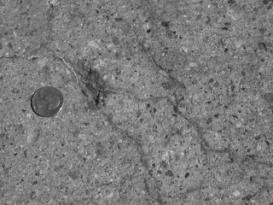  Figure 3-4 (a):  Photographs.  Typical distress manifestation observed on SD-090-019-002. This figure is comprised of two photographs of the roadway and are labeled A and B.  Photograph A is a close-up picture of map cracking with secondary material deposits filling the cracks.  A coin has been placed on the ground in the picture to give the viewer perspective.  Photograph B shows corner cracking at the joint intersection along with spalling that has been repaired with a concrete patch.