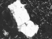  Figure 3-51 (c):  Photographs.  Petrographic micrograph of a tan to red coating observed on some of the fine aggregates that appear to undergo ASR from spall obtained from NC-440-015.  This figure is comprised of three micrographs labeled A, B, and C.  Photograph A uses a transmitted plane polarized light.  The area of note is along the edges of the aggregate particles that appear to have undergone ASR.  Photograph B is in epifluorescent mode.  The areas that have undergone ASR are more evident using this mode and are located along the side of a large aggregate particle at the center of the micrograph.  Photograph C uses a transmitted cross polarized light in which the aggregate appears completely white with all other area appearing as black.