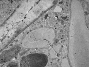  Figure 3-6 (b):  Photographs.  Stereo optical micrographs of typical cracking pattern associated with porous siltstone aggregate SD-090-019.  This figure is comprised of two photographs labeled A and B.  Photograph A is a micrograph of the siltstone aggregate. Cracking is seen running through and around the aggregate particles.  Multiple open air voids also are visible in the micrograph.  Photograph B is a micrograph of the siltstone and rhyolite aggregate.  Cracking is seen running through the aggregate and into the paste.  The aggregate rims are also visible on several of the larger particles as are several open air voids.