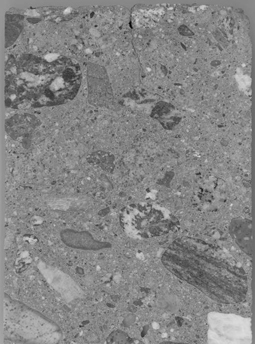 Figure 3-77:  Photograph.  Same area of core CA-058-011-001E as shown in figure 3-78, included to show darkened reaction rims on some of the coarse aggregate.  Image is magnified 1.5 times.  This image was created using a normal scan of the core specimen. In the image, the darkened rims on the coarse aggregate are evident.  A small crack runs about one third of the way down the middle of the core specimen. 