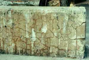 Figure 7. Photo. ASR-Induced Damage in Unrestrained Concrete Element. Uniform Expansion in all Directions Results in Classic Map-Cracking. This photo shows a series of interlocking, jagged-shaped cracks on the surface of a concrete barrier.