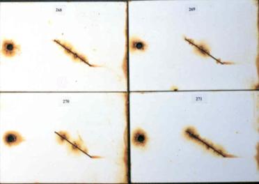 Figure 17.C Panel pictures. [Coating conditions of system 10 after exposures. A. 3,000-hour	 test A  B. 3,000-hour test B  C. 2-year outdoor exposure]  This figure shows the coating conditions of system 10 (epoxy system) after three tests. No surface failure was observed in all cases, but the system developed some creepage at the scribe after all the three tests.